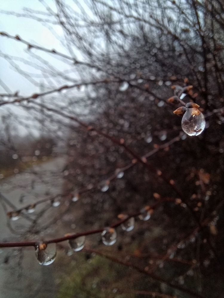 Photograph by Наталья Григорьева