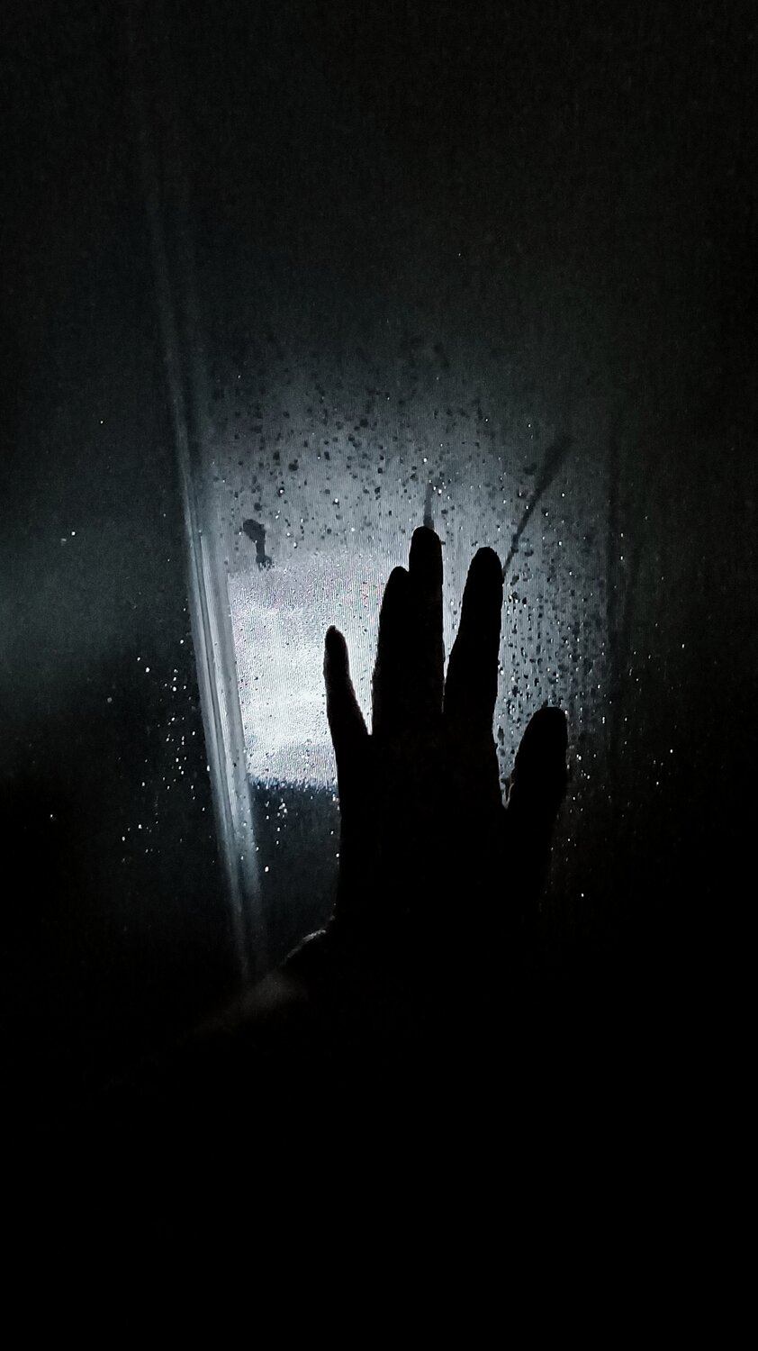Photo #13546160