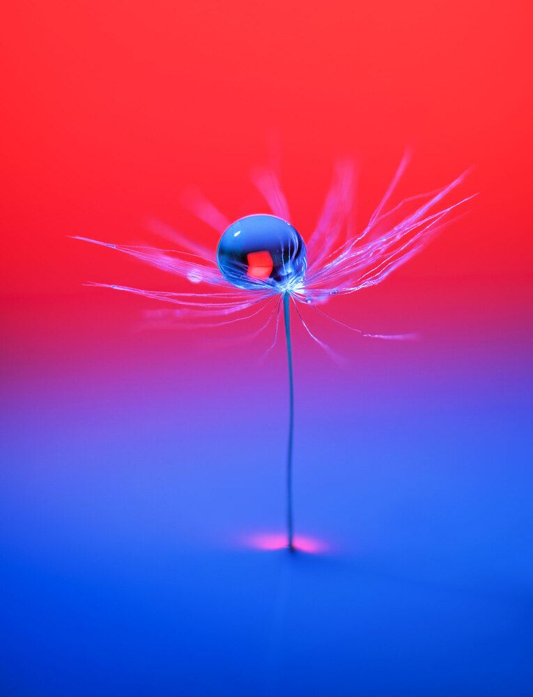 Photograph by Владимир Сковородников