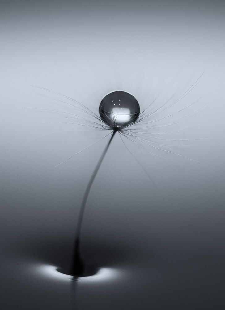 Photograph by Владимир Сковородников
