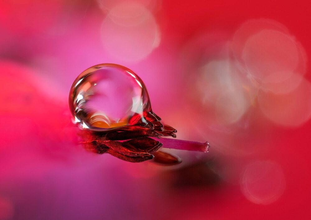 Photograph by Владимир Сковородников