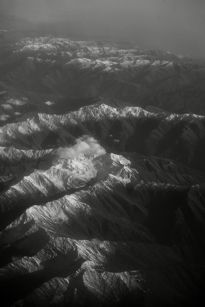 Photo #13546200