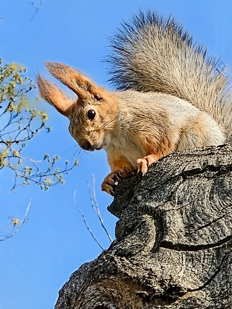 Photograph by Людмила Локтионова