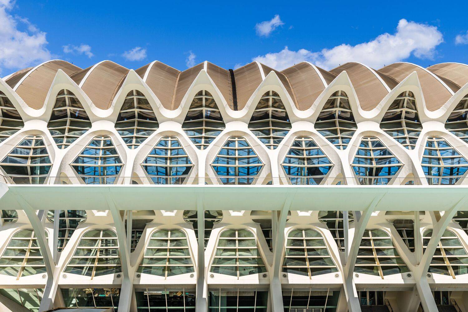 Museo de las Ciencias Príncipe Felipe