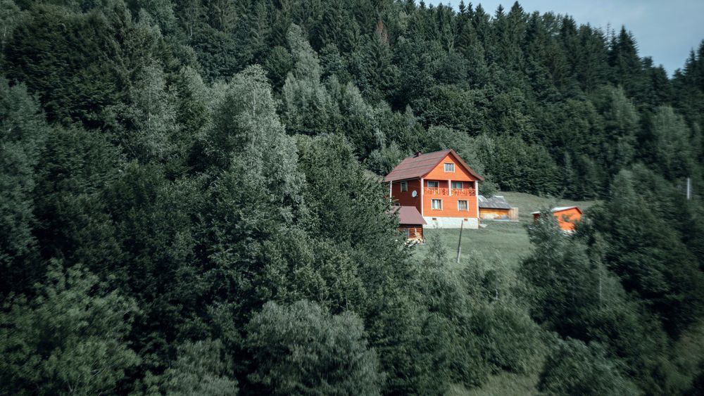 Фотография автора Дима Шарапов