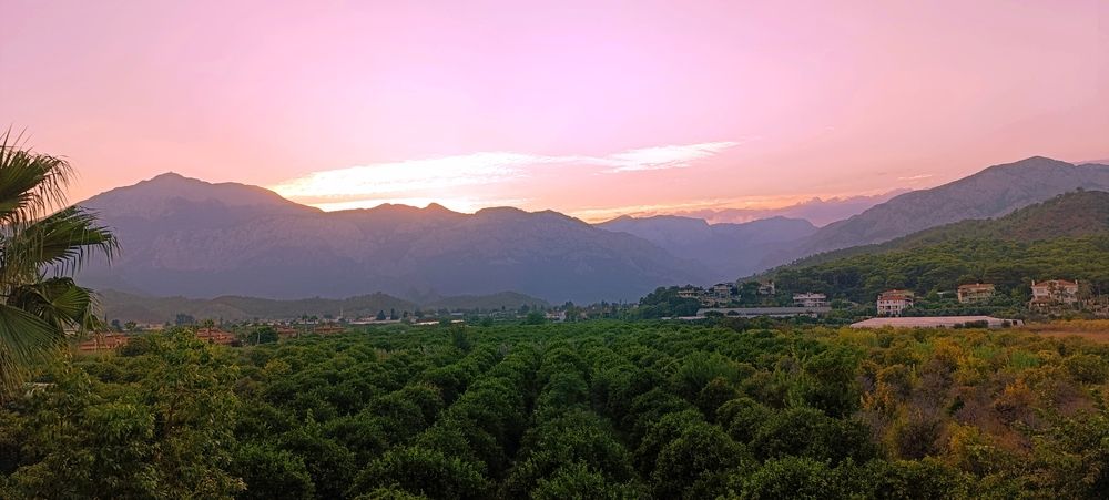 Photograph by Алена Марченко