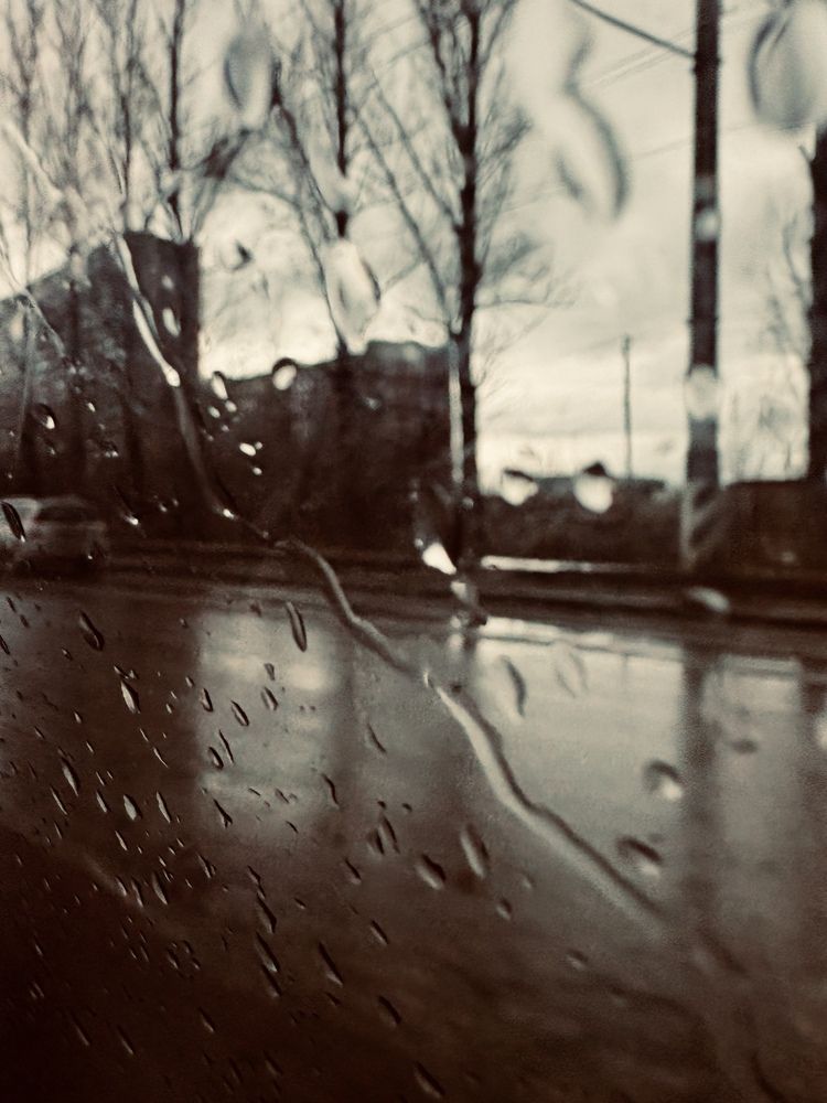 Photograph by Наталья Караблина