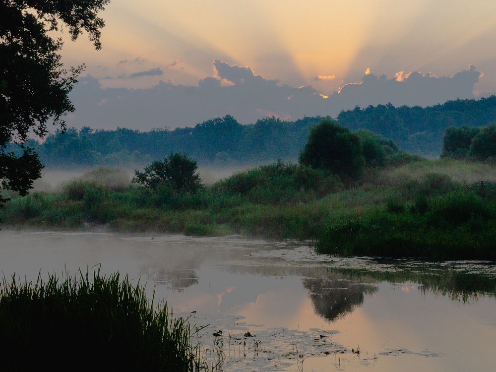 Photograph by София Стрыгина
