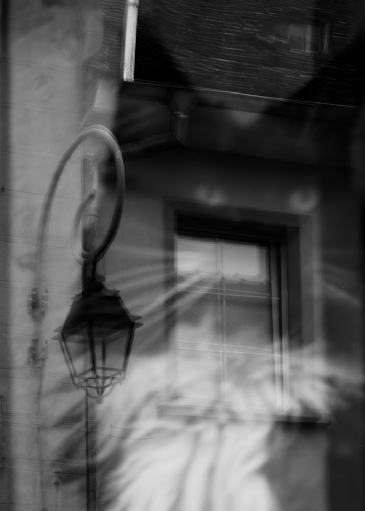 Photograph by Silviu Avramescu