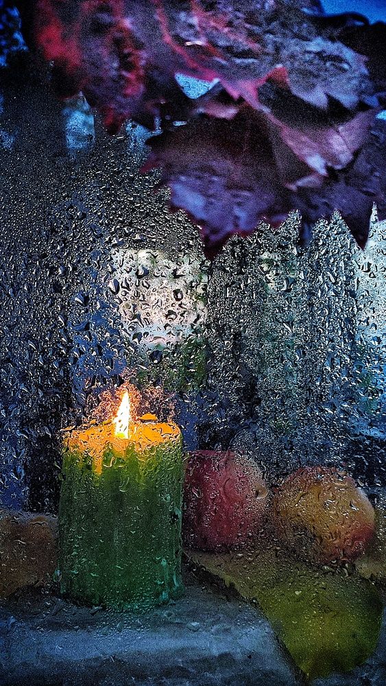 Photograph by Хоменчук Людмила