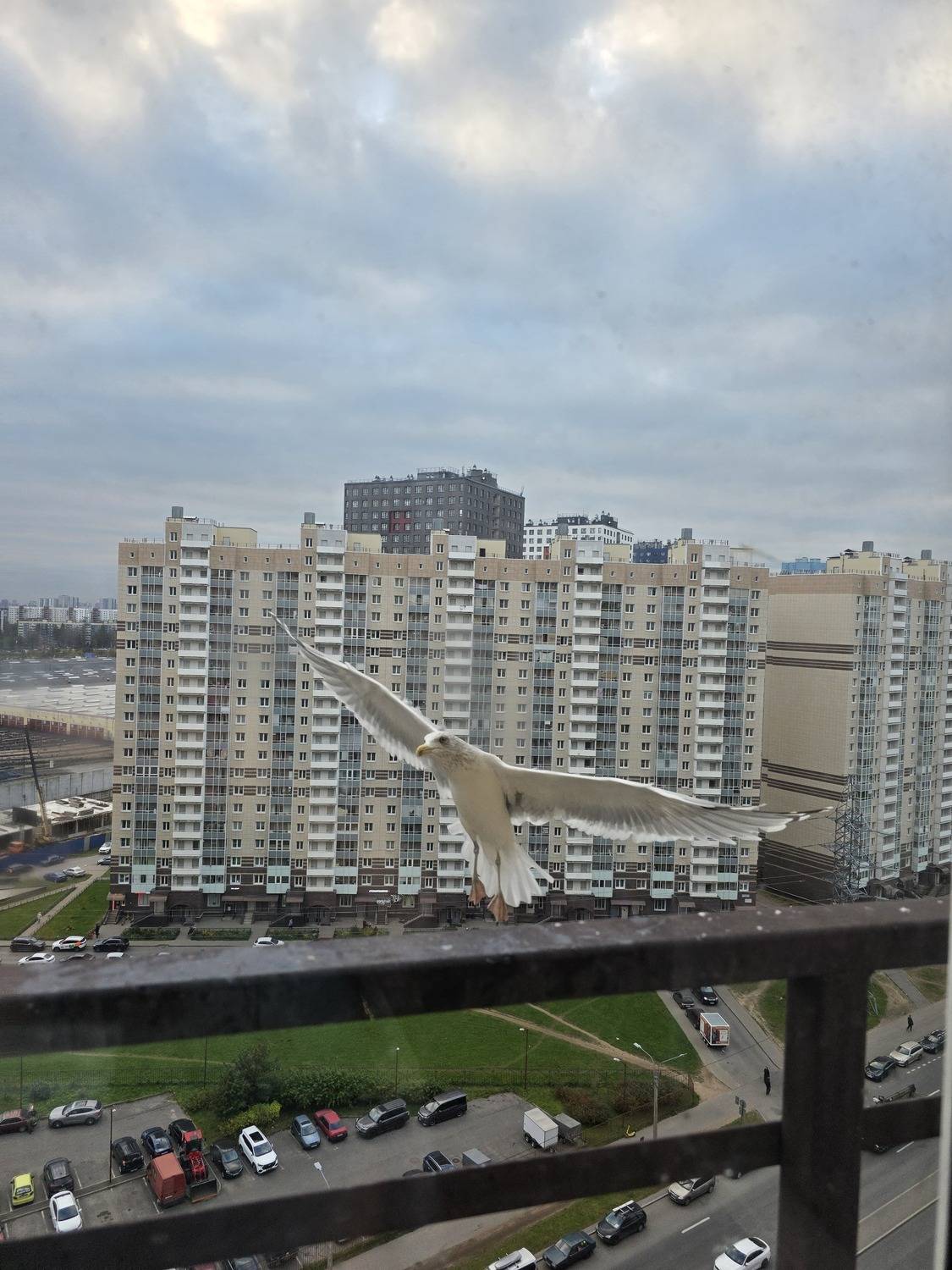 Photo #13546532
