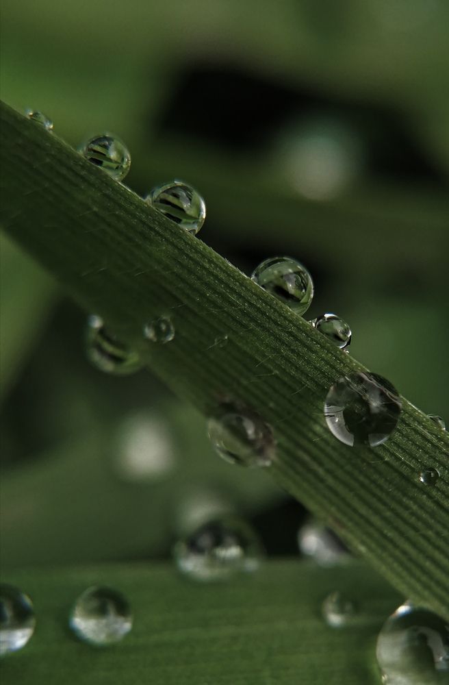 Photograph by Наталия Соболева