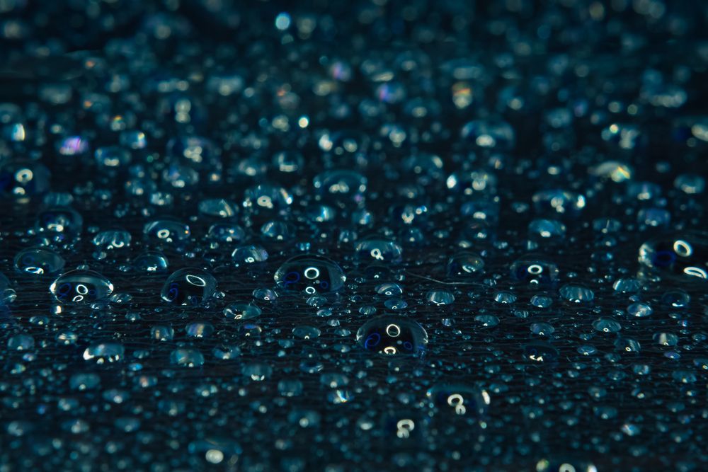Photo #13546593