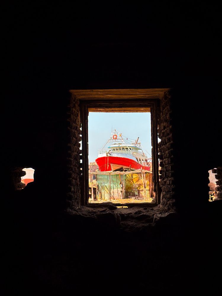 Photograph by Habiba Osama