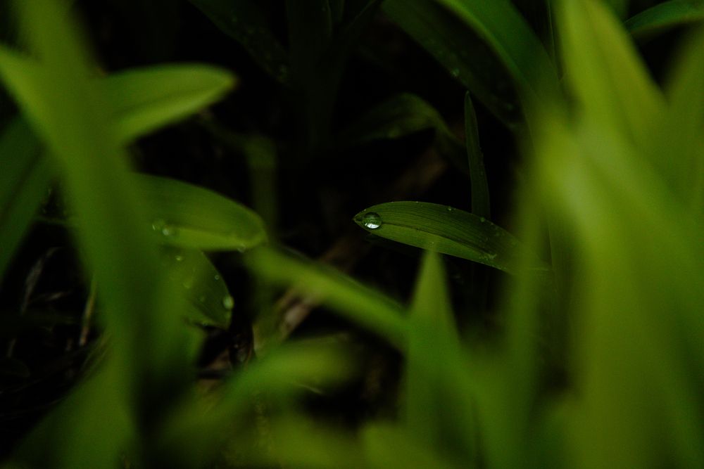 Photograph by дамир чекалин