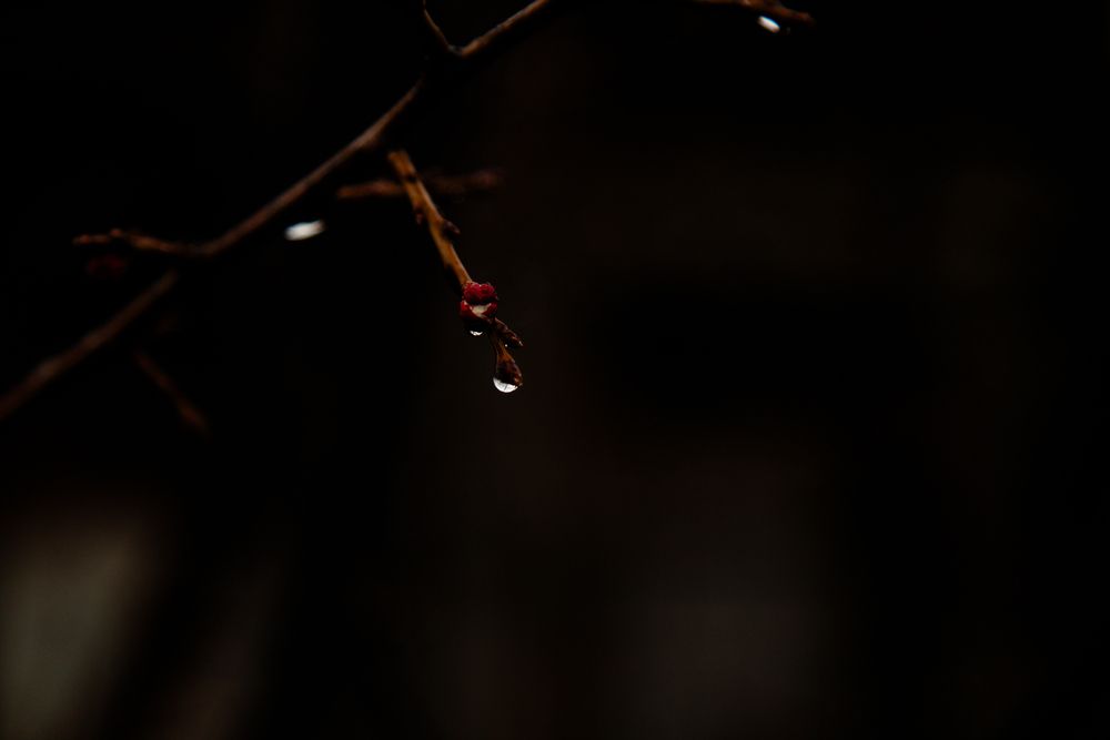 Photograph by дамир чекалин