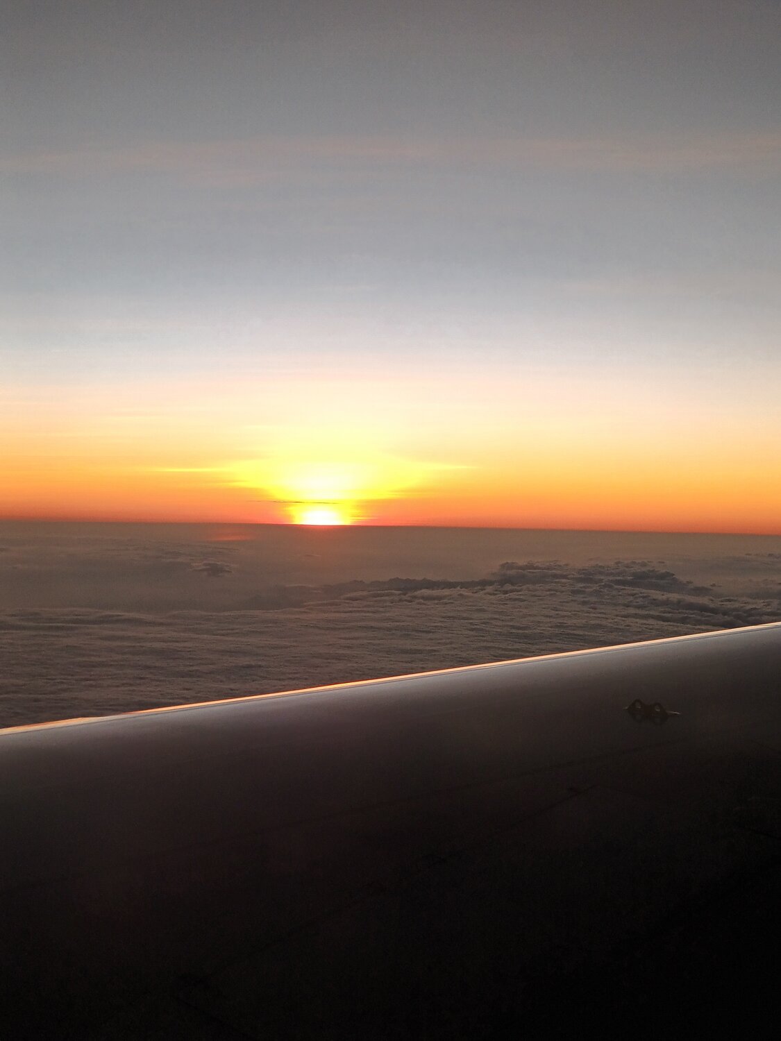 Photo #13546795