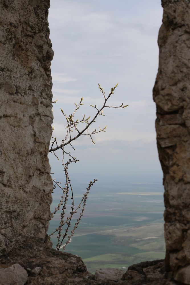 Photograph by Елена Наумова