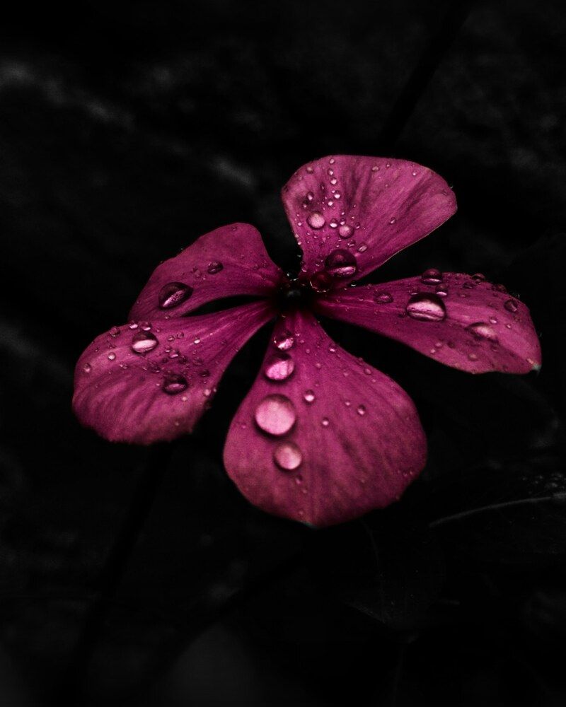 Photograph by Durgeshwari Wagh