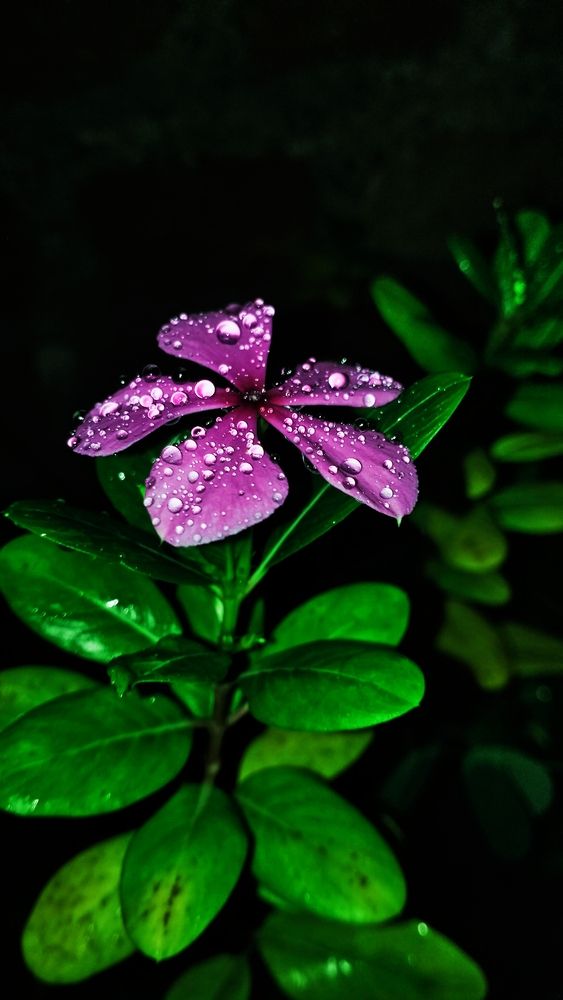 Photograph by Durgeshwari Wagh
