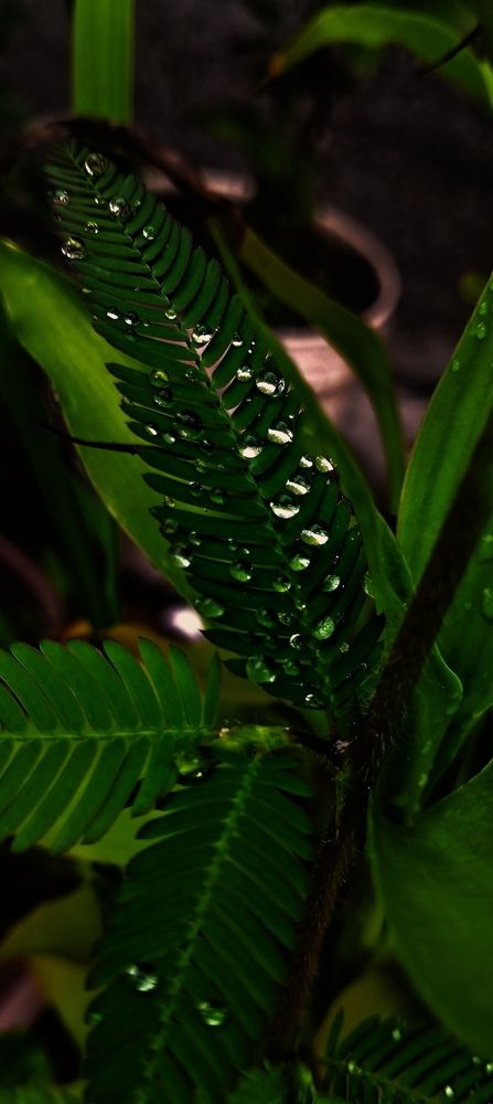 Photograph by Durgeshwari Wagh