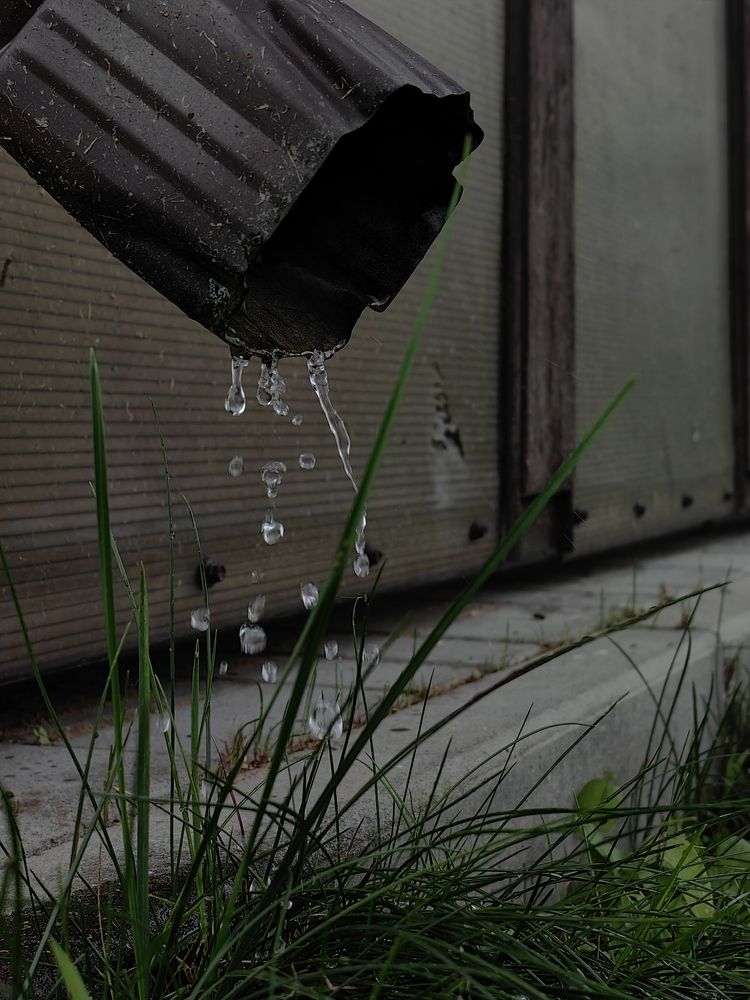 Photograph by Veranika Siratsinina
