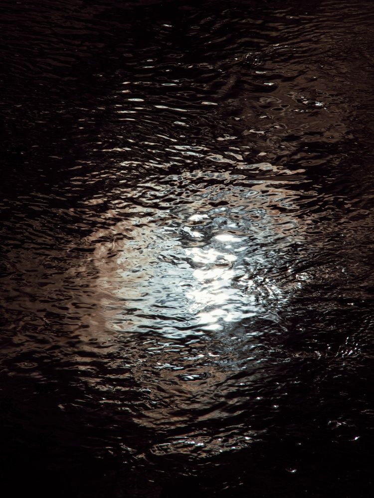 Photograph by Анна Любимова