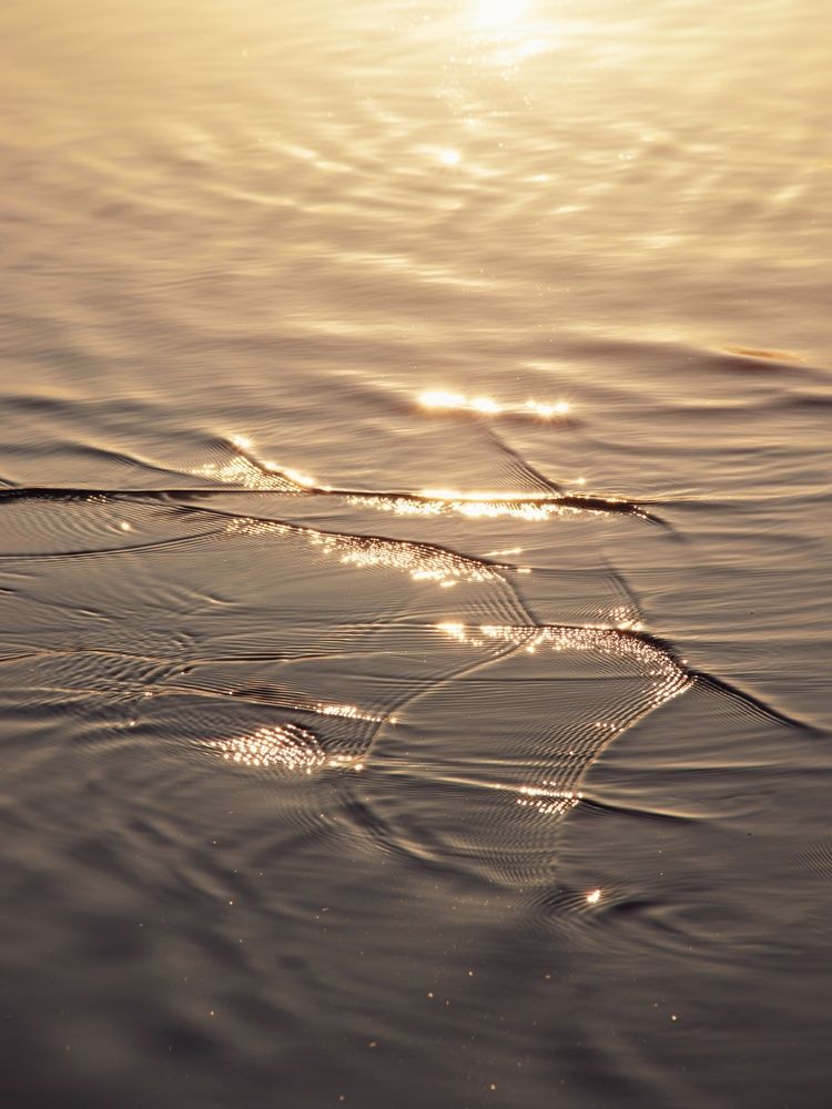 Photograph by Анна Любимова