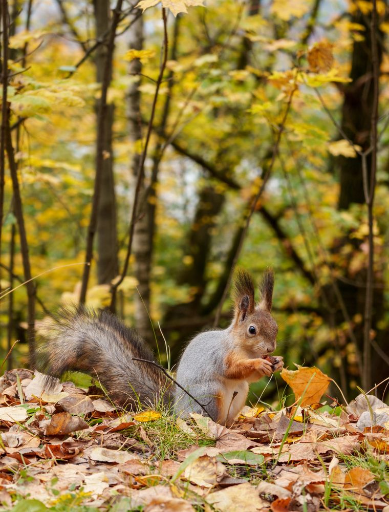 Photograph by Павел Бутко