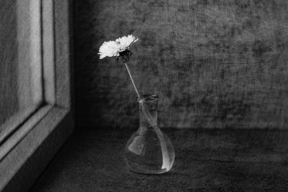Photograph by Виталий Маслов