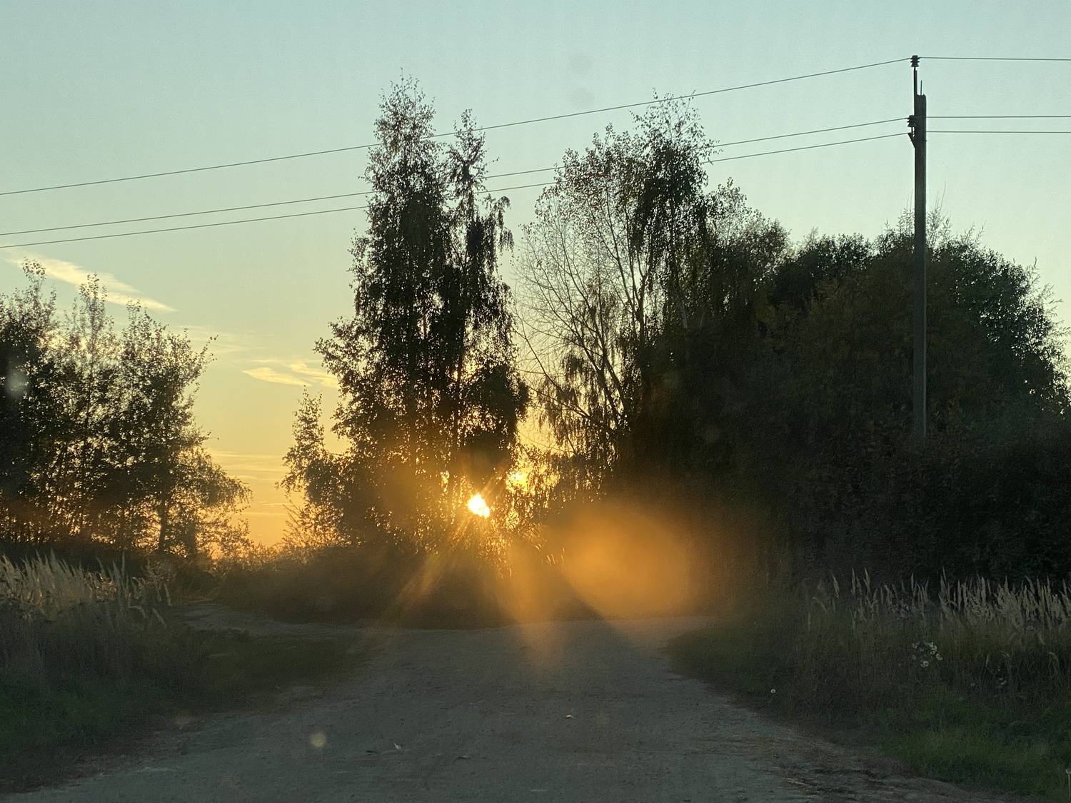 Photo #13547039