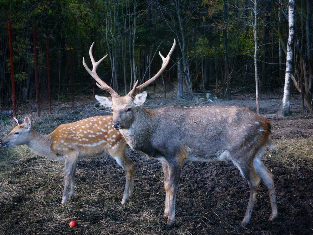 Photograph by Lyudmila Lebedeva