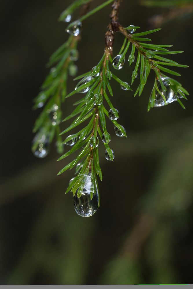 Photograph by Елена Соколова