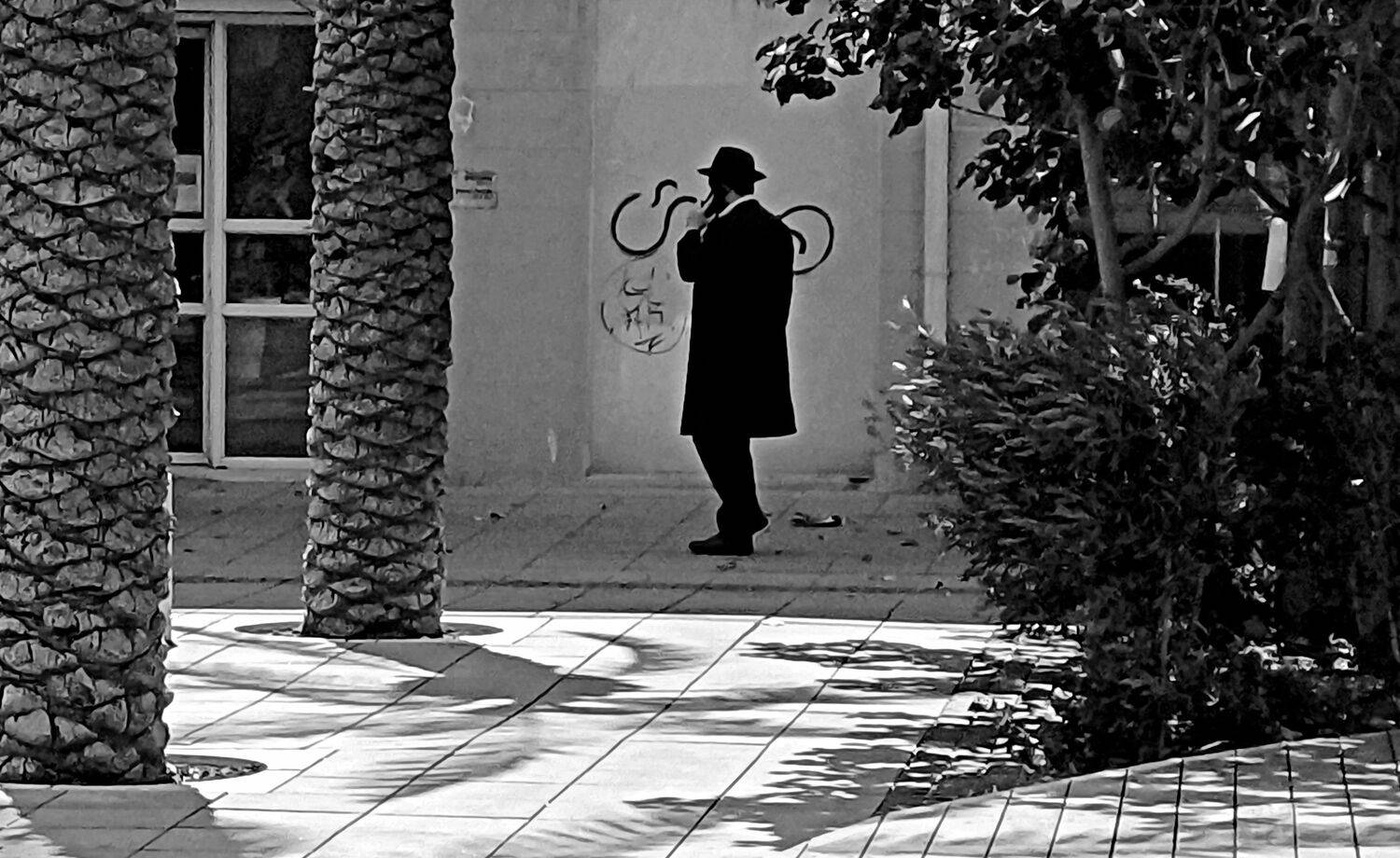 Photo #13547250