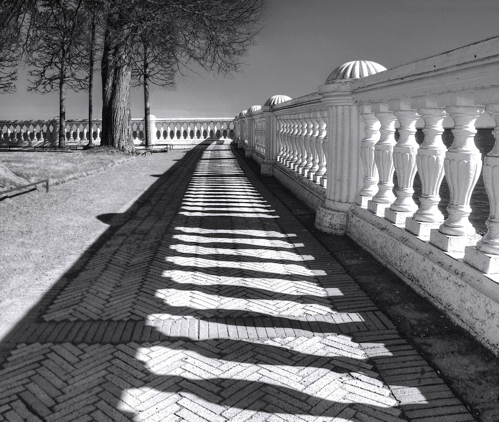 Photograph by 