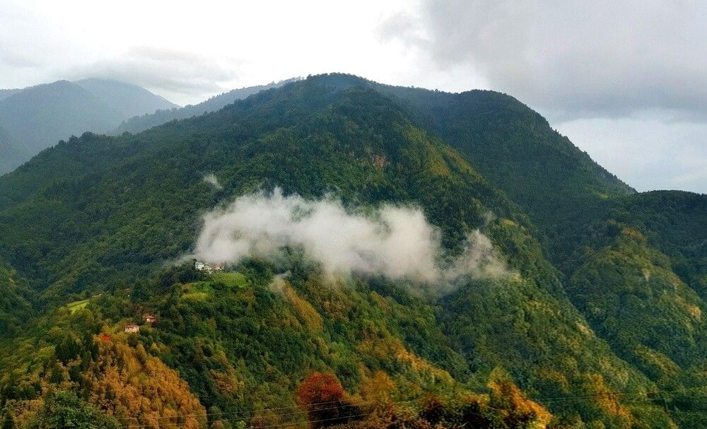 Photograph by Игорь Бахарев