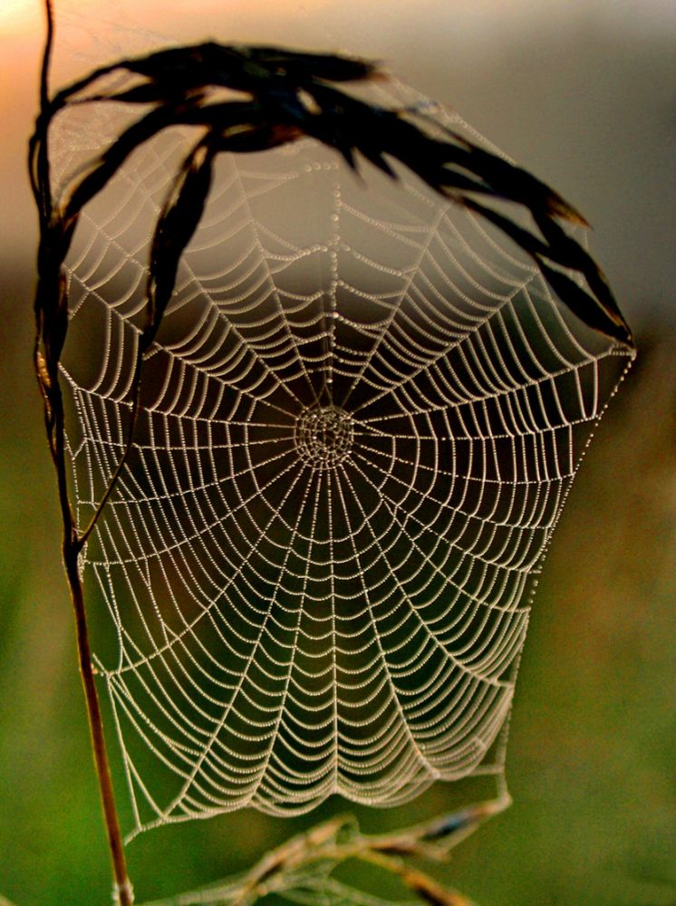 Photograph by Илья К