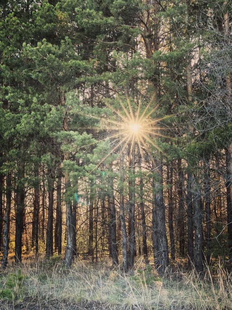 Photograph by Анна Якубинас