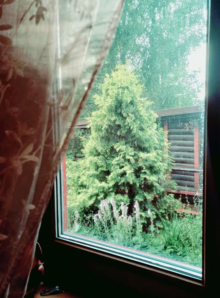 Photograph by Яна