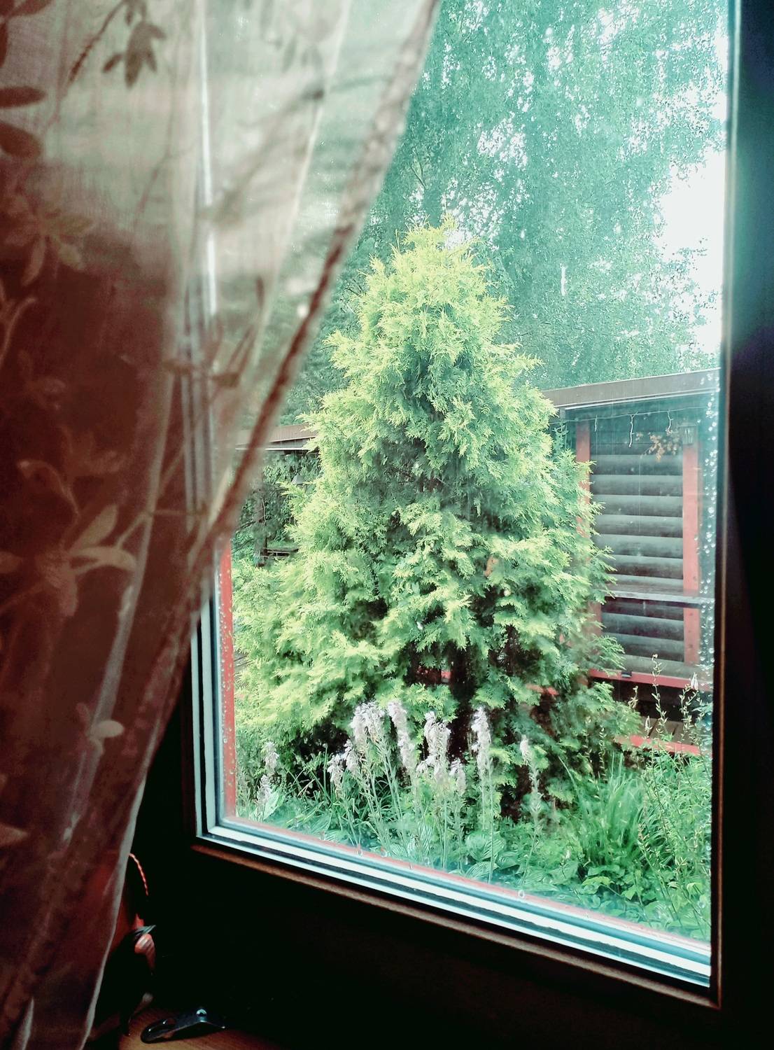 Photo #13547530