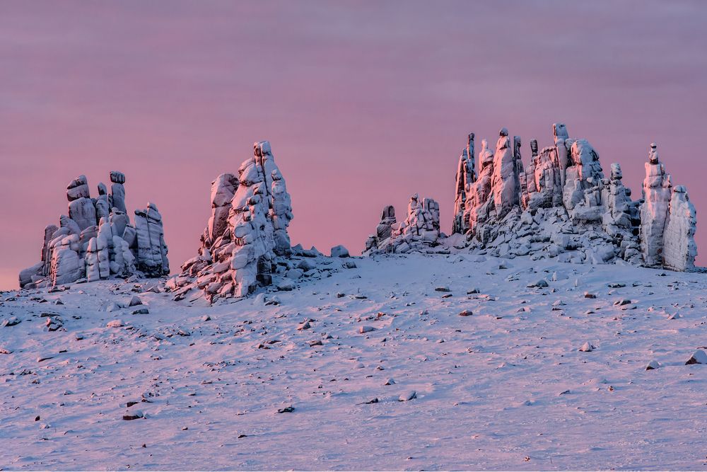 Фотография автора Григорашев Денис