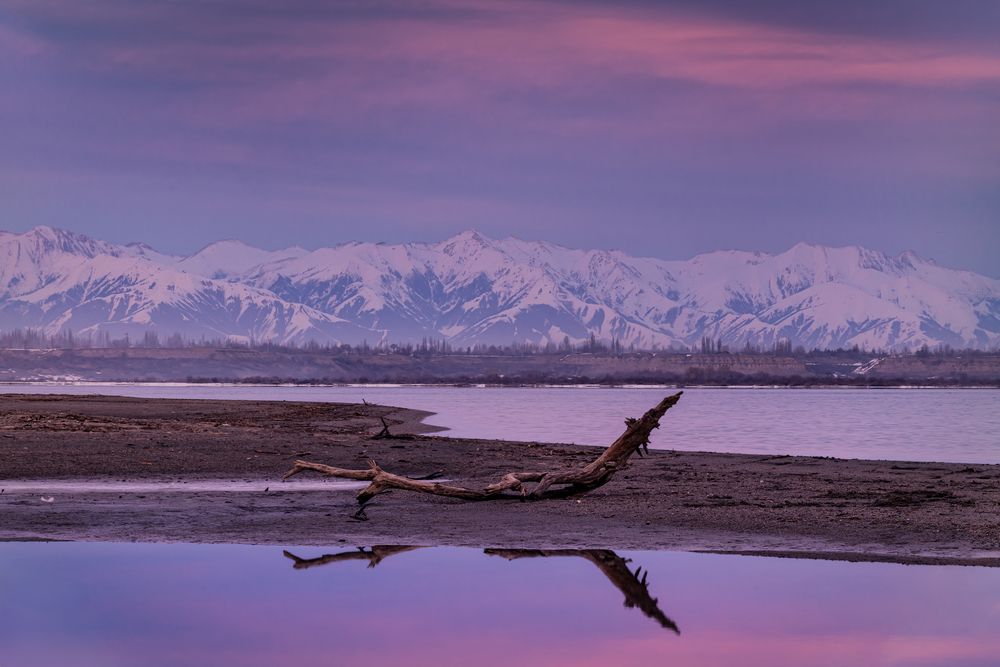 Фотография автора Григорашев Денис