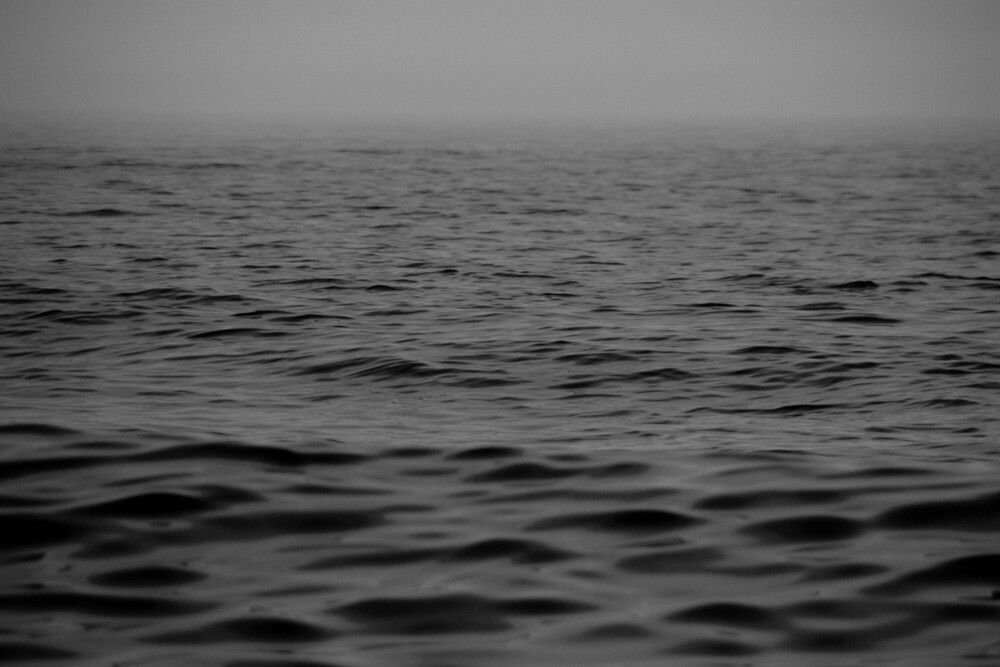 Photograph by Александр Салякаев