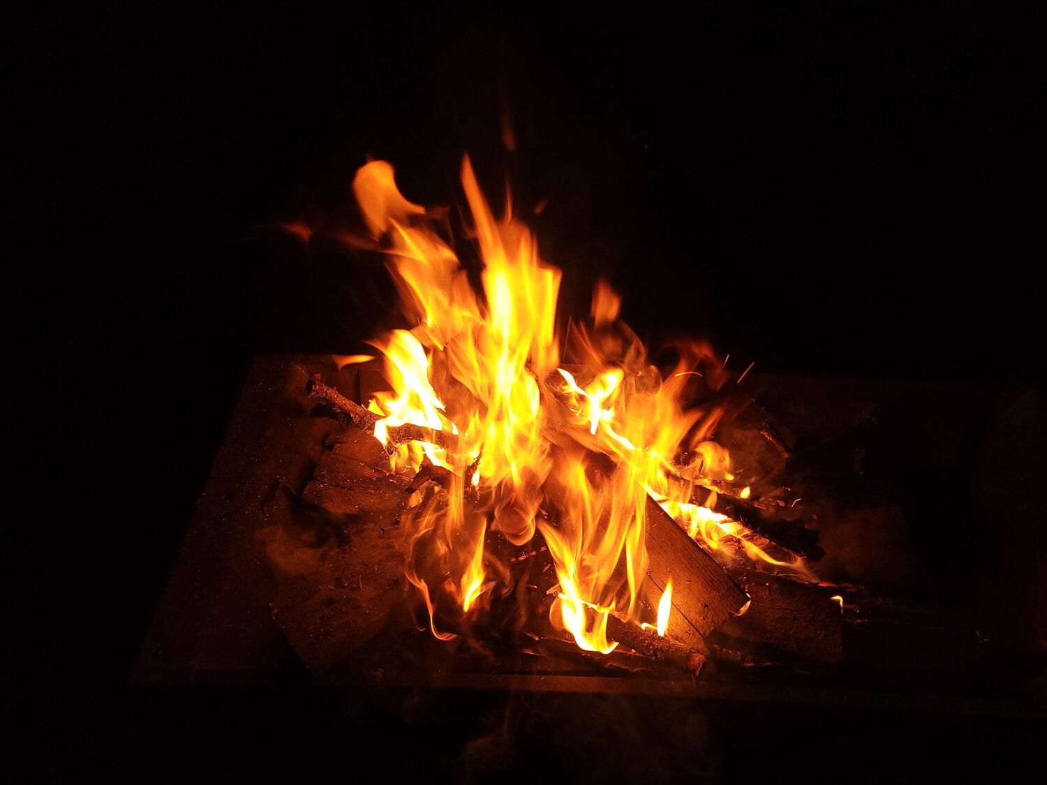 Photo #13547697