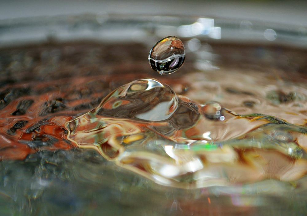 Photograph by ЕЛЕНА Тутынина