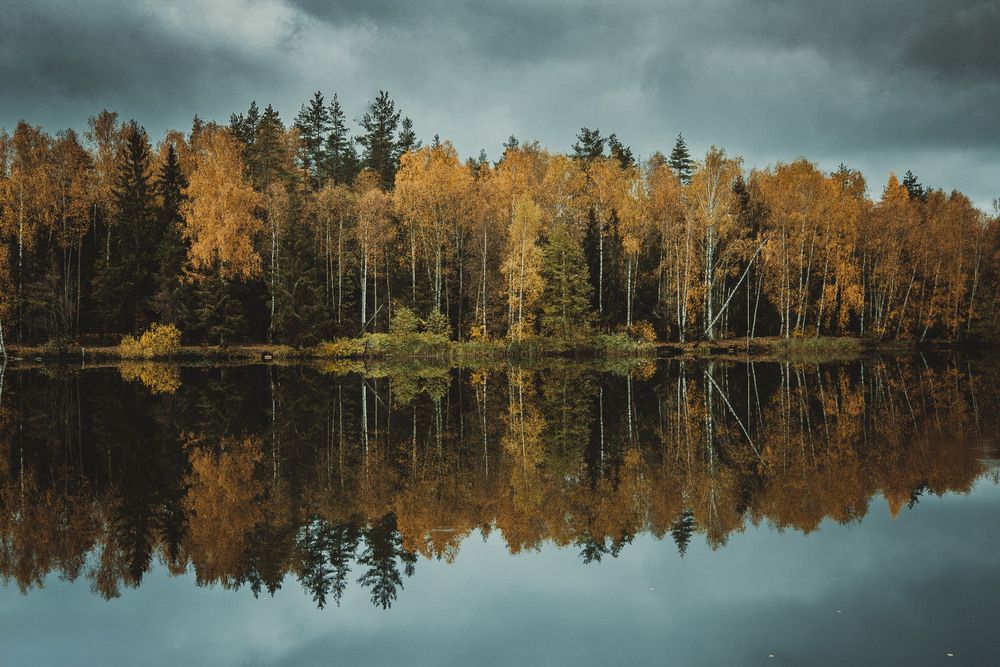 Photograph by Василий Шумкин