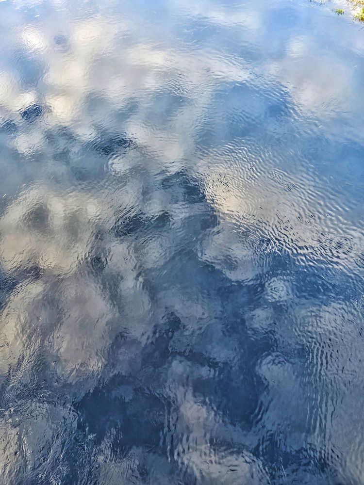 Photograph by Светлана Кустова