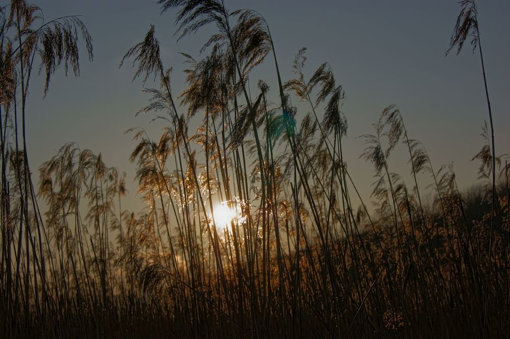 Photograph by Sergej Roor