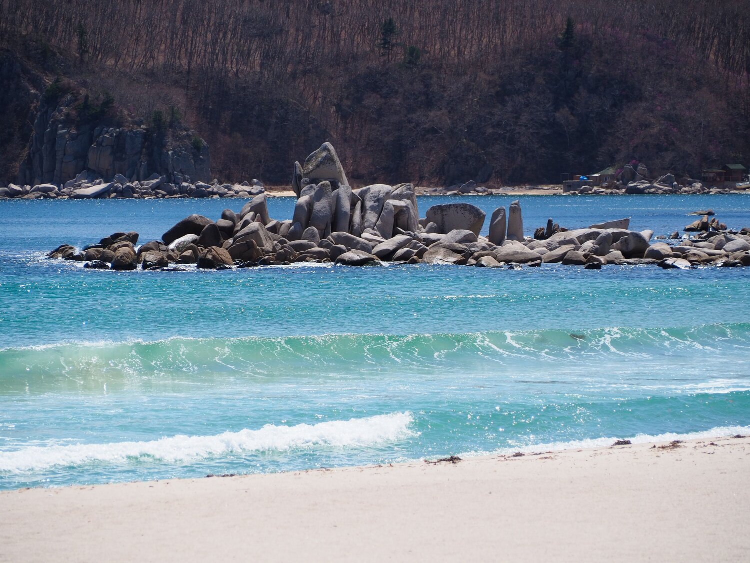 Photo #13547997