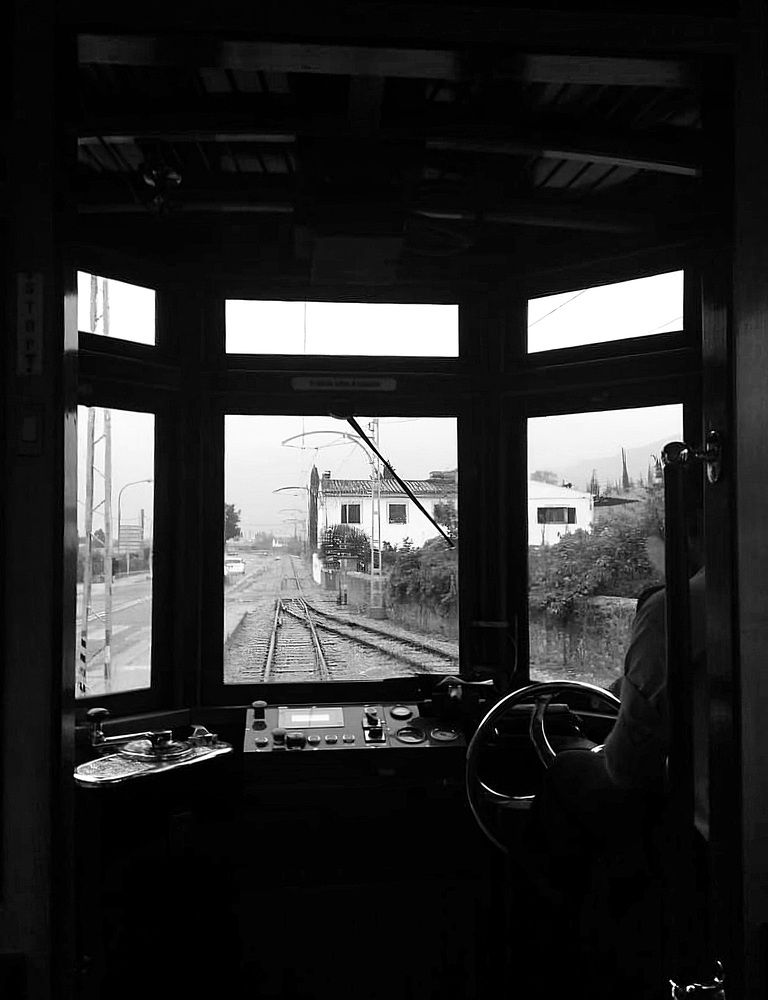 Photograph by Elvira Oleinik